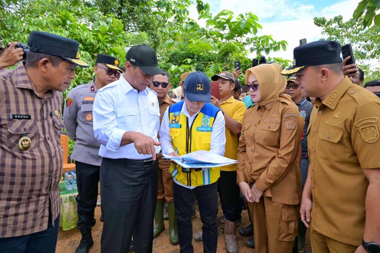 Wali Kota Kendari Dampingi Mentan Tinjau Sawah dan Lokasi Banjir,  Pemerintah pusat Pastikan bantuan bagi petani terdampak