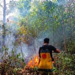 Pemerintah Kabupaten Konawe Selatan Perkuat Sistem Merit Melalui Expose Manajemen Talenta di Kantor BKN Pusat