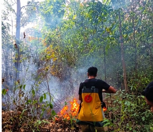 Kebakaran Lahan Seluas ±8 Hektare di Desa Ambaipua Berhasil Dipadamkan Damkarmat Konsel